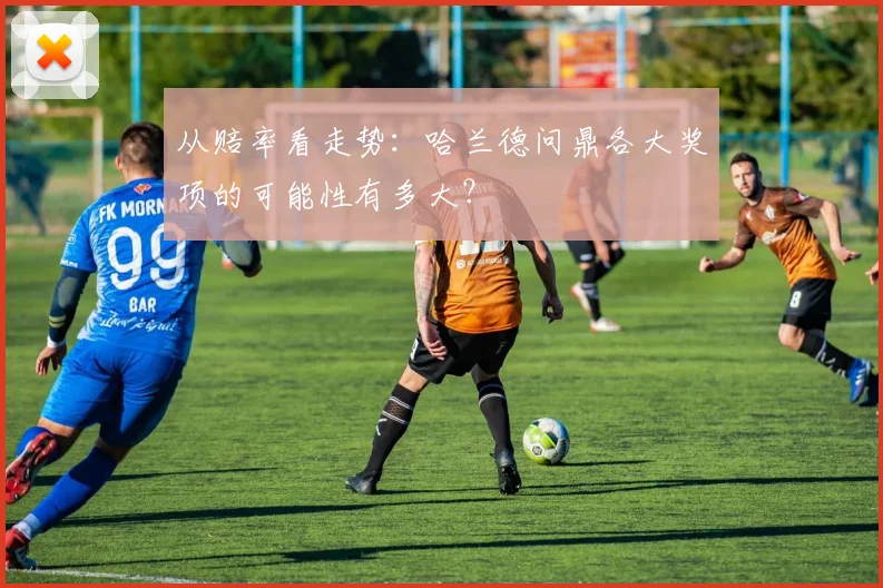 从赔率看走势：哈兰德问鼎各大奖项的可能性有多大？